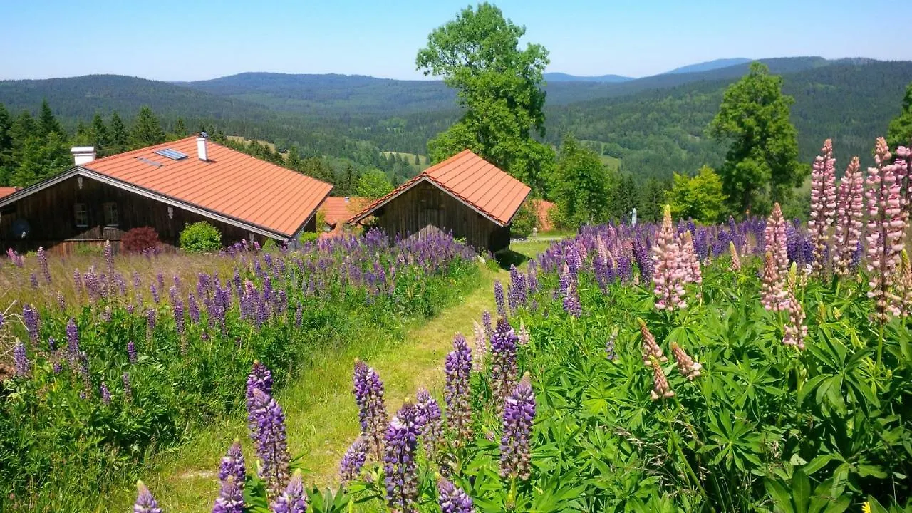 Apartman Sumava - Bavorsky Les Mitterfirmiansreut Németország