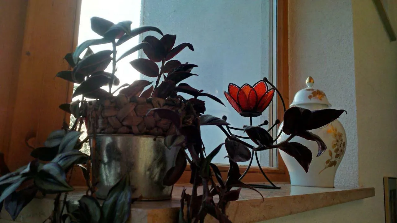 Apartman Sumava - Bavorsky Les Mitterfirmiansreut 0*,